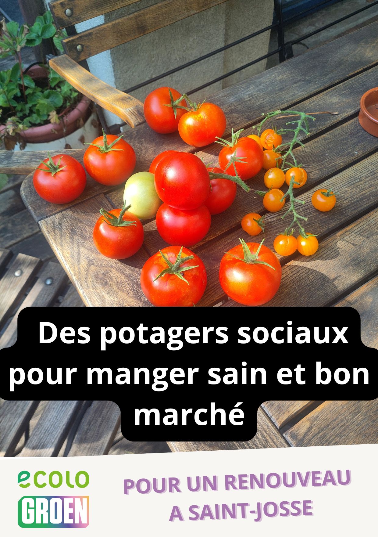 Des potagers sociaux pour manger sain et bon marché