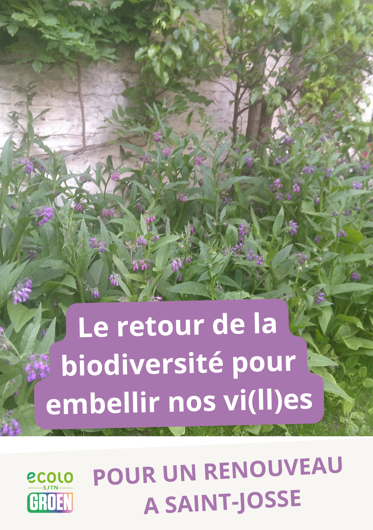 Le retour de la biodiversité pour embellir nos vi(ll)es